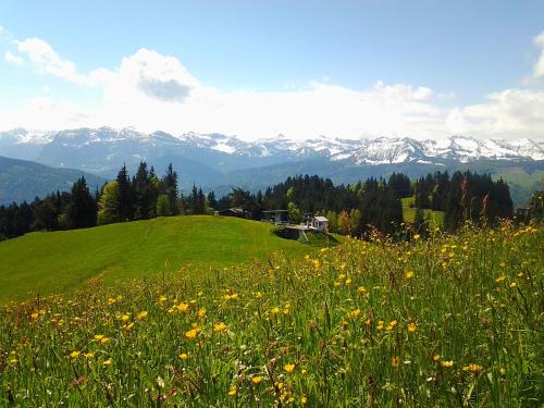 Schedlers Löwenhotel-GARNI