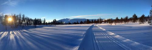 Frich`s Oppdalsporten - image 6
