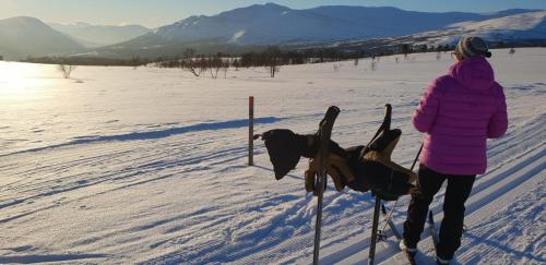 Frich`s Oppdalsporten - image 10
