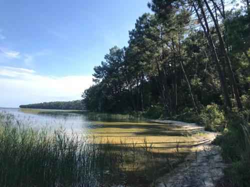 Maison de vacance Hourtin Lac