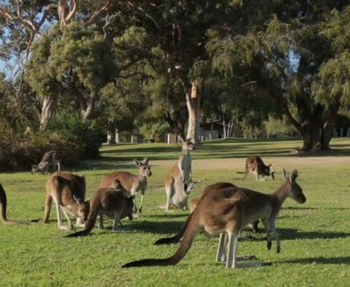 Eastern Hill Creswick