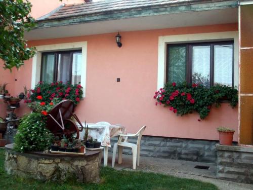 Facilities, Lugas Szallas in Jászberény