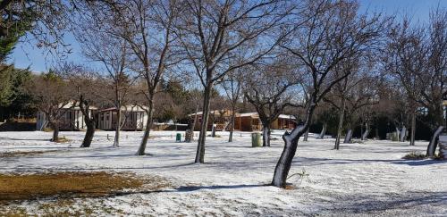 Camping Castillo de Loarre - image 11