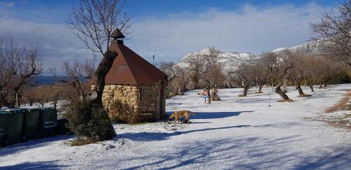 Camping Castillo de Loarre - image 8