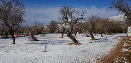 Camping Castillo de Loarre - image 13