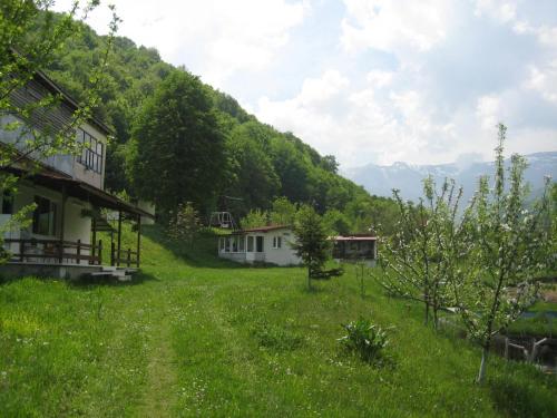 Accommodation in Berkovitsa