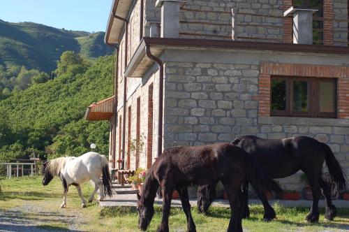  Agriturismo Il Capitano, Floresta bei Maniace