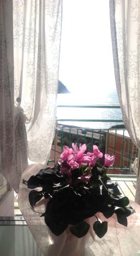 Chloé, Levanto (photo 10)