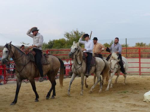 Camping le Camarguais