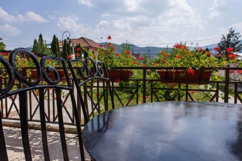 Pensiunea Roua in Piatra Neamt