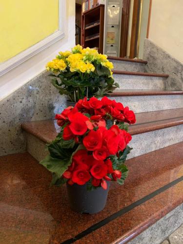 Stromboli Hotel - image 3