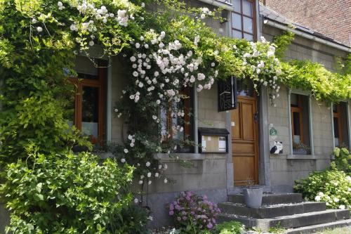  Dans tes Rêves! in Angre