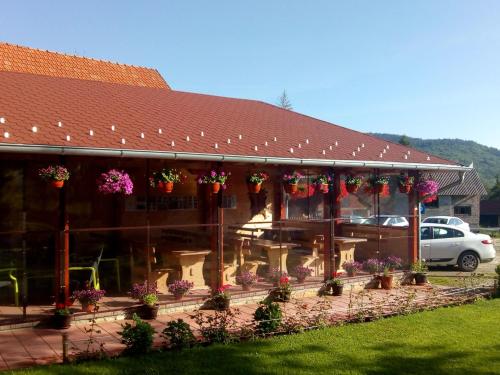 Apartments Vila Selena - Golija in Rudno