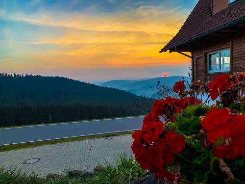 Pension Forsthaus Tale - das Gastehaus vom Schwarzwaldgasthaus Salenhof 2.6km von Kleineisenbachstraße entfernt