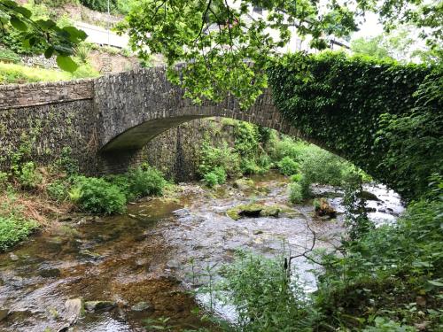 Cottage Inn, , Devon