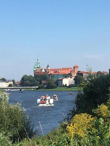 Apartament Amaryllis, Cracovie (photo 3)