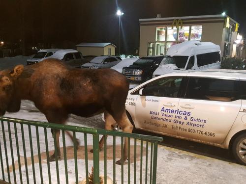 アメリカズ ベスト バリュー イン&スイーツ アンカレッジ エアポート