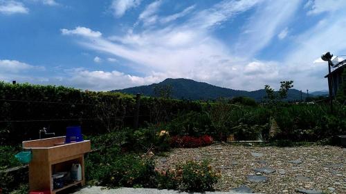 YOJA B&B - image 2