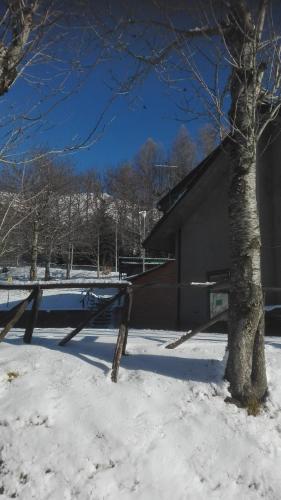 . B&B Bucaneve