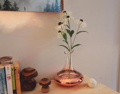 บริการและสิ่งอำนวยความสะดวก, FerienNest Haus Braunfels in บัด เอมส์