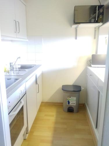 Apartmenthotel Hohegeiß Kasing MIT FREIEM WLAN und Schwimmbad 2.9km von Ebersbach entfernt
