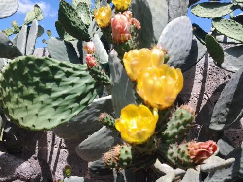 B&B Terra Serena - main image