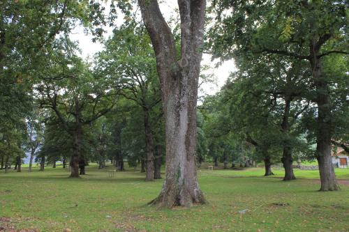 Balcón de la Len - image 14