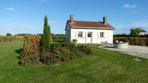 l'Ecrin au coeur des vignes - Location saisonnière - Saint-Georges-sur-Cher