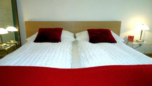 Exclusive Central Apartment, Basilea (foto 7)