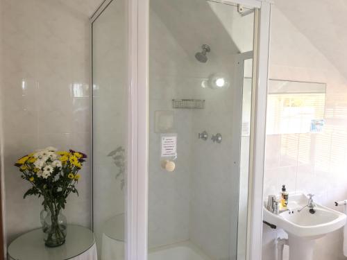 Howards End Manor B&B Cape Town South Africa