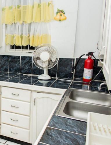 Kitchen, Tonys Guest House in Port Of Spain