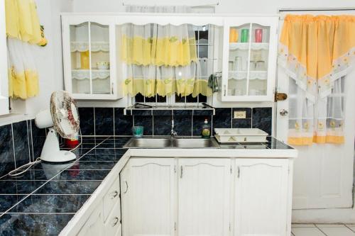 Kitchen, Tonys Guest House in Port Of Spain
