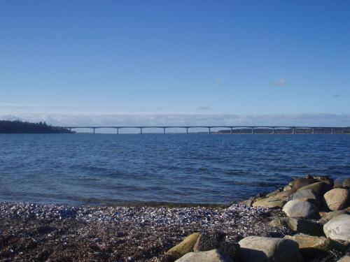 playa, "Alléhuset" ("Allehuset") in Roslev