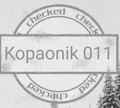 Kopaonik011 Konaci - Accommodation - Kopaonik