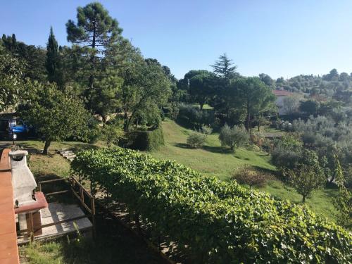 TOSCANA TOUR - Casa Bianca with sea view