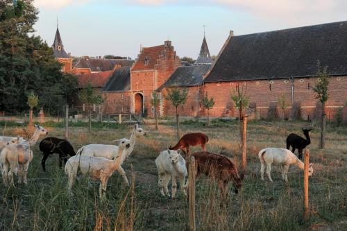  Kasteel Nieuwenhoven vakantiewoningen in Sint-Truiden