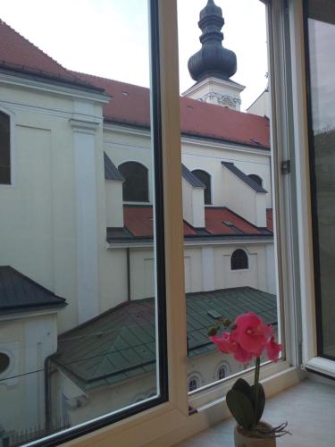 Ferienwohnung Schloessel 26/16, Vídeň (fotografie 6)