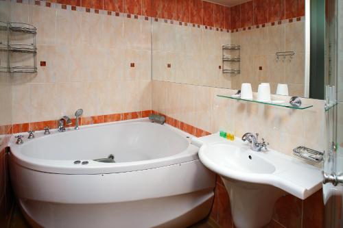 Hotel Ankora - image 14
