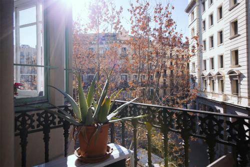 Hostal Eixample - image 14