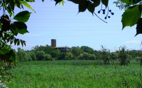 ELA GUEST HOUSE - image 7