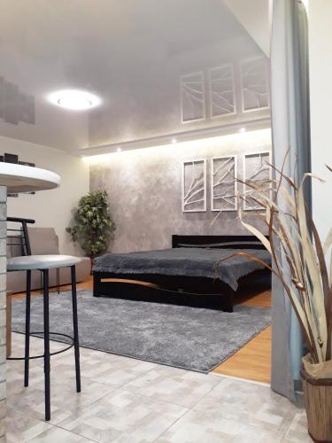 Apartment - Matusevycha Street 2-11, Kryvyj Rih (fotografie 4)