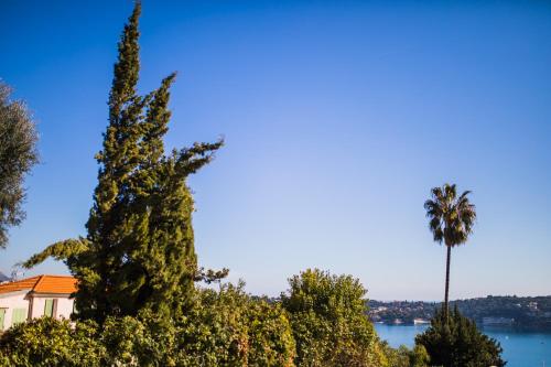 AGRIANTHE - Villefranche-sur-Mer - image 6