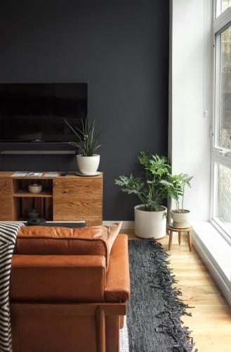 Studio with Garden View - Disability Access image 8