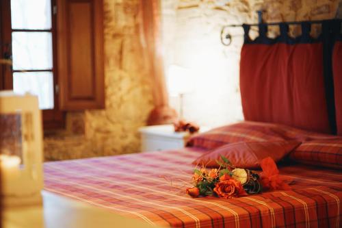 Tenuta Sant'Ilario - image 6