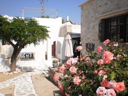 Bungalows Svoronos - image 5