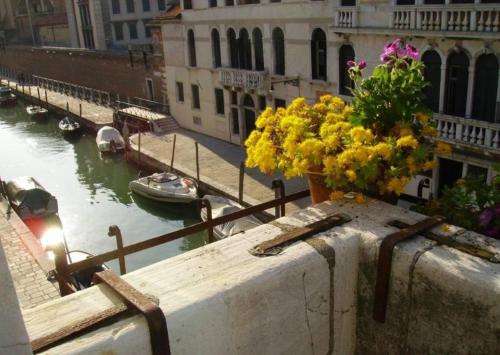 Cà dei fioi piano nobile in palazzo del 1500, Venice (photo 7)