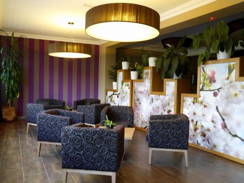 Casa Peto Outes - image 9