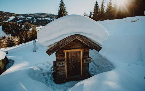 Stegerhütte