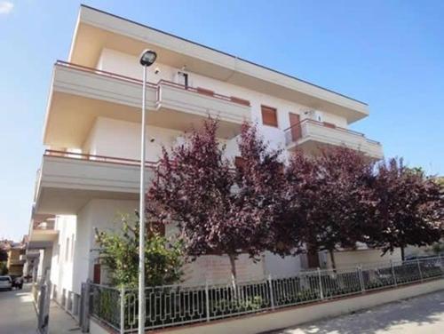  Apartments Alba Adriatica/Abruzzen 20768, Pension in Alba Adriatica