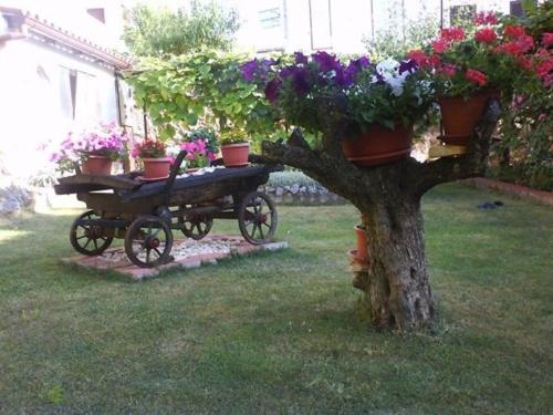  Apartment in Porec/Istrien 10057 in Poreč